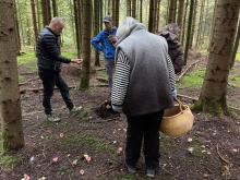 Bild3