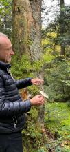 Bild5